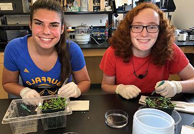 Two female students examining plants in a lab 